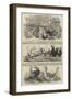Birmingham Agricultural Association-null-Framed Giclee Print