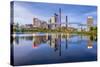 Birmingham, Alabama, USA City Skyline.-SeanPavonePhoto-Stretched Canvas