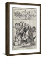 Birmingham Poultry Show-Harrison William Weir-Framed Giclee Print