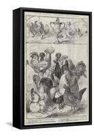 Birmingham Poultry Show-Harrison William Weir-Framed Stretched Canvas