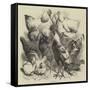 Birmingham Show, Prize Poultry-Harrison William Weir-Framed Stretched Canvas