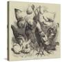 Birmingham Show, Prize Poultry-Harrison William Weir-Stretched Canvas