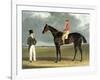 'Birmingham', Winner of the St Leger, 1830, Engraved by R.G. Reeve, 1831-John Frederick Herring I-Framed Giclee Print