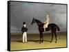 Birmingham with Patrick Conolly Up, and His Owner, John Beardsworth-John Frederick Herring-Framed Stretched Canvas