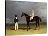 Birmingham with Patrick Conolly Up, and His Owner, John Beardsworth-John Frederick Herring-Stretched Canvas