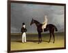 Birmingham with Patrick Conolly Up, and His Owner, John Beardsworth-John Frederick Herring-Framed Giclee Print