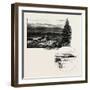 Birnam-null-Framed Giclee Print