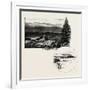 Birnam-null-Framed Giclee Print