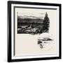 Birnam-null-Framed Giclee Print