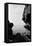 Birnham Rocks 1970-Staff-Framed Stretched Canvas