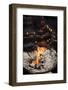 Birning Candles and Offerings at Temple-Im Perfect Lazybones-Framed Photographic Print