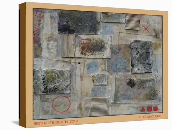 Birth-Life-Death, 2019 (Assemblage of Mixed Material)-Peter McClure-Stretched Canvas