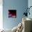 Birth of a New Spiral Nebula-April Cat-Photographic Print displayed on a wall