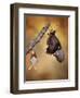 Birth of a Swallowtail-Jimmy Hoffman-Framed Photographic Print