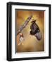 Birth of a Swallowtail-Jimmy Hoffman-Framed Photographic Print