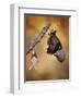 Birth of a Swallowtail-Jimmy Hoffman-Framed Photographic Print