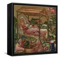 Birth of Christ, C1350-null-Framed Stretched Canvas