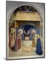 Birth of Christ, with the Saints Catherine of Alexandria and Peter the Martyr, 1437-45-Fra Angelico-Mounted Giclee Print