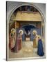 Birth of Christ, with the Saints Catherine of Alexandria and Peter the Martyr, 1437-45-Fra Angelico-Stretched Canvas