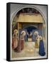 Birth of Christ, with the Saints Catherine of Alexandria and Peter the Martyr, 1437-45-Fra Angelico-Framed Stretched Canvas