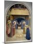 Birth of Christ, with the Saints Catherine of Alexandria and Peter the Martyr, 1437-45-Fra Angelico-Mounted Giclee Print