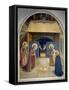 Birth of Christ, with the Saints Catherine of Alexandria and Peter the Martyr, 1437-45-Fra Angelico-Framed Stretched Canvas