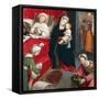 Birth of St John Baptist-Defendente Ferrari-Framed Stretched Canvas