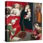 Birth of St John Baptist-Defendente Ferrari-Stretched Canvas