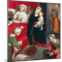 Birth of St John Baptist-Defendente Ferrari-Mounted Giclee Print