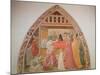 Birth of the Virgin, Cycle of the Lives of the Virgin and St. Stephen, Cappella Dell'Assunta-Paolo Uccello-Mounted Giclee Print