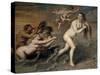 Birth of Venus, 17th century-Cornelis de Vos-Stretched Canvas