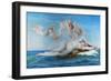 Birth of Venus, 1863-Alexandre Cabanel-Framed Giclee Print