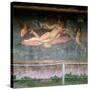 Birth of Venus, 1st Century-null-Stretched Canvas