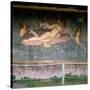 Birth of Venus, 1st Century-null-Stretched Canvas