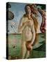Birth of Venus (Detail of Venus), 1486, Tempera on Canvas-Sandro Botticelli-Stretched Canvas