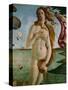 Birth of Venus (Detail of Venus), 1486, Tempera on Canvas-Sandro Botticelli-Stretched Canvas