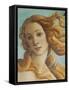 Birth of Venus, Head of Venus-Sandro Botticelli-Framed Stretched Canvas