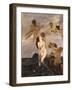 Birth of Venus (Venus Emerges from Waves)-Ettore Tito-Framed Art Print