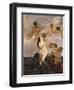 Birth of Venus (Venus Emerges from Waves)-Ettore Tito-Framed Art Print