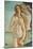 Birth of Venus, Venus-Sandro Botticelli-Mounted Art Print