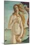 Birth of Venus, Venus-Sandro Botticelli-Mounted Art Print