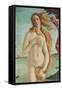 Birth of Venus, Venus-Sandro Botticelli-Framed Stretched Canvas