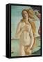 Birth of Venus, Venus-Sandro Botticelli-Framed Stretched Canvas