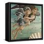 Birth of Venus, Zephyrus and Aura-Sandro Botticelli-Framed Stretched Canvas