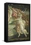 Birth of Venus-Sandro Botticelli-Framed Stretched Canvas