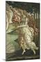 Birth of Venus-Sandro Botticelli-Mounted Giclee Print