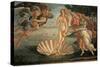Birth of Venus-Sandro Botticelli-Stretched Canvas