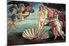 Birth of Venus-Sandro Botticelli-Mounted Art Print