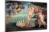 Birth of Venus-Sandro Botticelli-Mounted Art Print