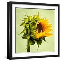 Birth-Philippe Sainte-Laudy-Framed Premium Photographic Print